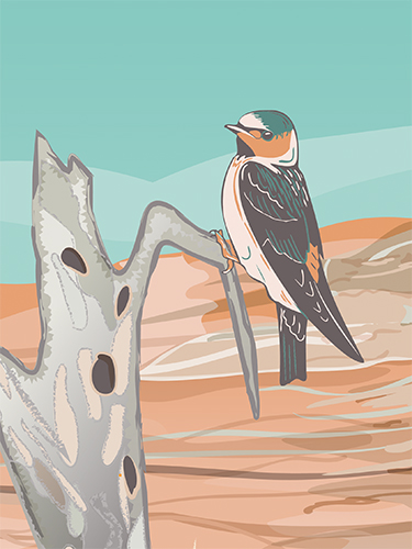 jmturley copyrighted image