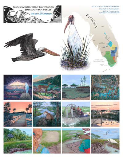 Paintings from Everglades book, sample sheet