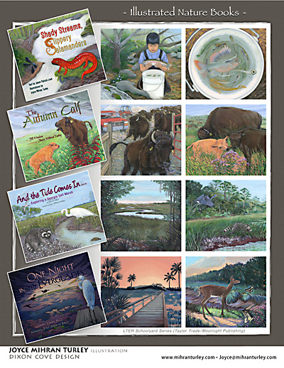 sample sheet of illustrated nature books